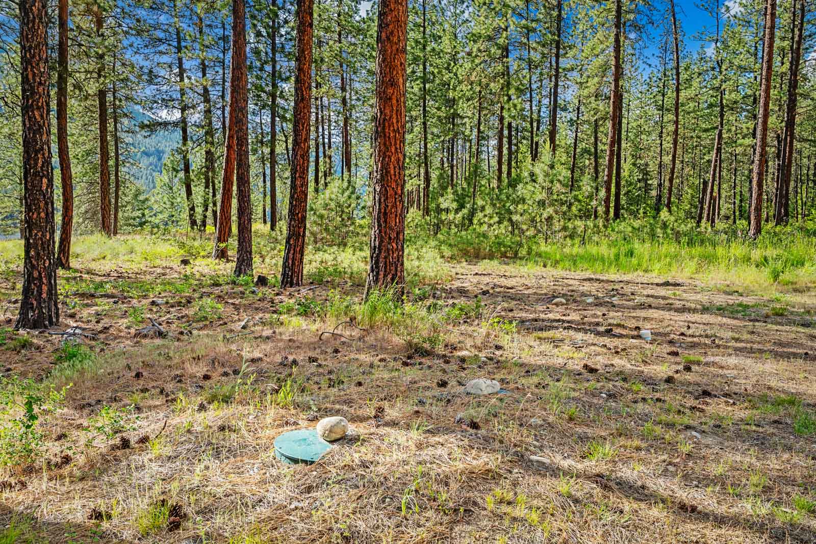 Homesites on Lake Roosevelt-66