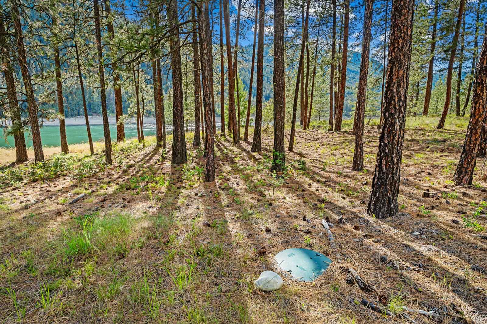 Homesites on Lake Roosevelt-67