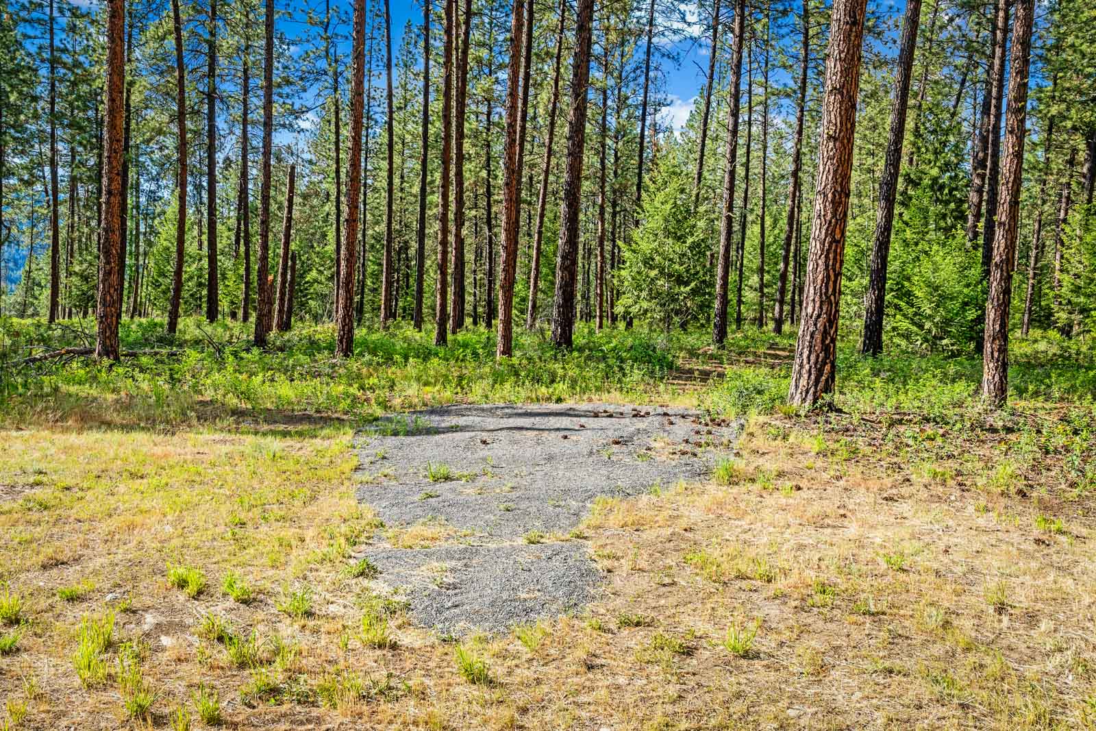 Homesites on Lake Roosevelt-71
