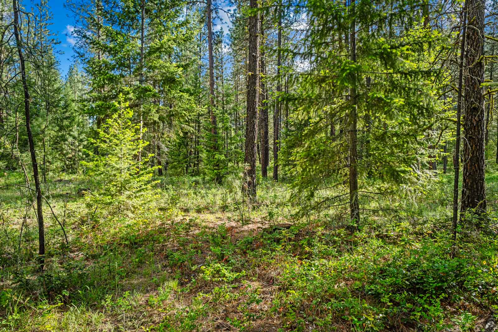 Homesites on Lake Roosevelt-72